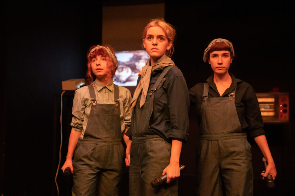 3 - Teatrul Regina Maria Oradea