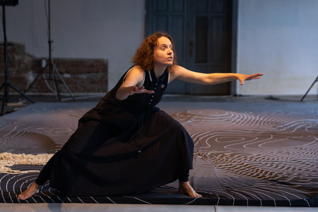 Actingout - 2024 05 26 0196web - Teatrul Regina Maria Oradea